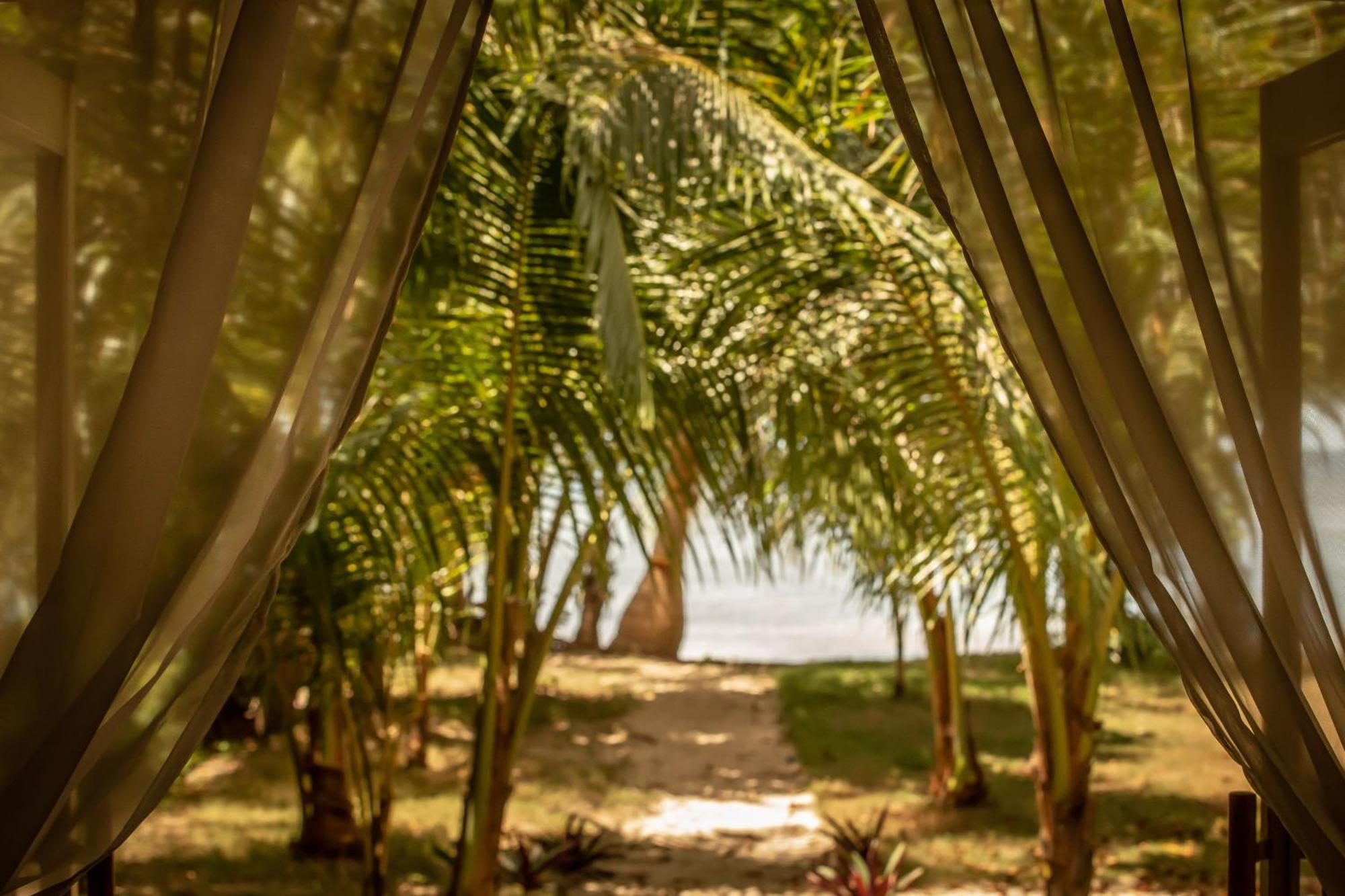 The Beach House Ocam Ocam Busuanga Exterior photo